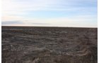 Property photo 50 - Kansas Land Auction - 960 Acres - 7 Farms in 3 Counties